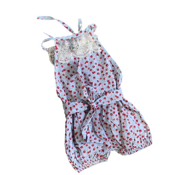 Bailey's Blossoms Floral & Lace Romper 3-6 Months - Picture 1 of 5